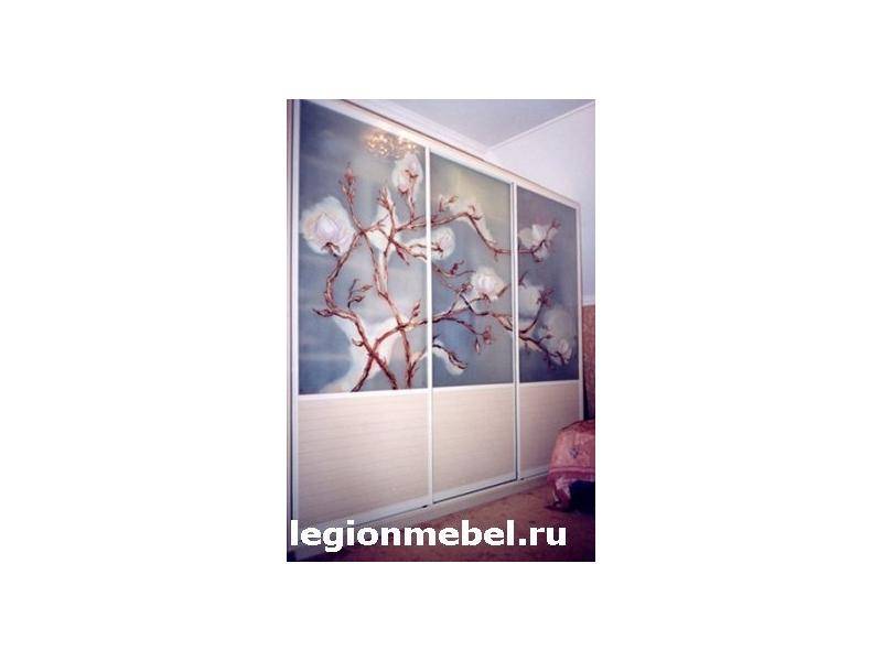 шкаф-купе с фотопечатью в Комсомольск-на-Амуре