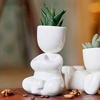 набор для выращивания eco йог в Комсомольск-на-Амуре