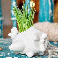 набор для выращивания eco самолет в Комсомольск-на-Амуре