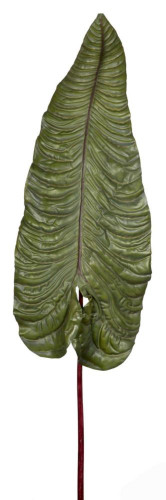 декор alocasia в Комсомольск-на-Амуре