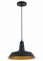 подвесной светильник odeon light kasl 3378/1 в Комсомольск-на-Амуре