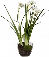 декор allium в Комсомольск-на-Амуре