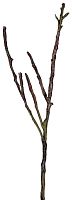 декор dry branches в Комсомольск-на-Амуре