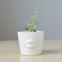 набор для выращивания eco мини-кашпо «губы» в Комсомольск-на-Амуре