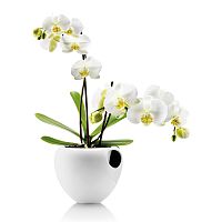 горшок для орхидеи orchid pot белый в Комсомольск-на-Амуре