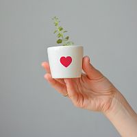 набор для выращивания eco мини-кашпо «сердце» в Комсомольск-на-Амуре