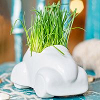 набор для выращивания eco машина в Комсомольск-на-Амуре