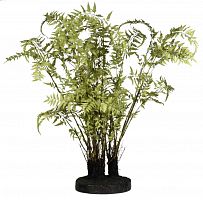 декор ferns в Комсомольск-на-Амуре