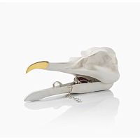 шкатулка для украшений bird skull (белый) в Комсомольск-на-Амуре