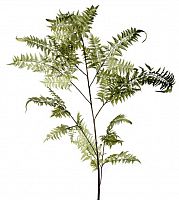 декор fl12056 (giant fern) в Комсомольск-на-Амуре
