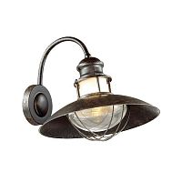 уличный настенный светильник odeon light dante 4164/1w в Комсомольск-на-Амуре