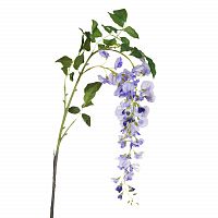 глициния сиреневая 142 см (18) в Комсомольск-на-Амуре