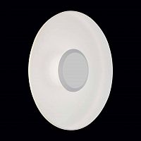 уличный настенный светодиодный светильник st luce sl925.501.01 в Комсомольск-на-Амуре