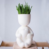 набор для выращивания eco романтик в Комсомольск-на-Амуре