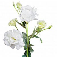 лизиантус белый 77 см (12) в Комсомольск-на-Амуре