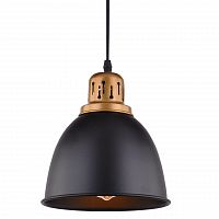 подвесной светильник arte lamp eurica a4245sp-1bk в Комсомольск-на-Амуре