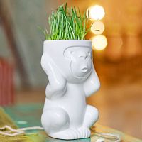 горшок для растений eco игнорик в Комсомольск-на-Амуре