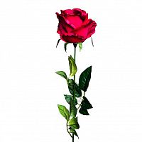 роза бордовая 71 см (24) в Комсомольск-на-Амуре