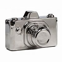 предмет декора camera серебряная в Комсомольск-на-Амуре