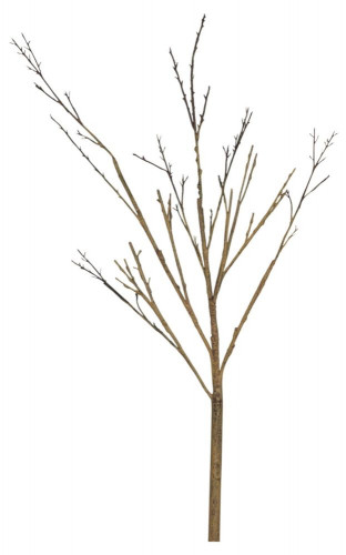 декор twig stem в Комсомольск-на-Амуре