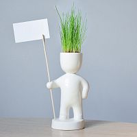 набор для выращивания eco знаменосец в Комсомольск-на-Амуре