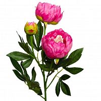 пион розовый 64 см (24) в Комсомольск-на-Амуре