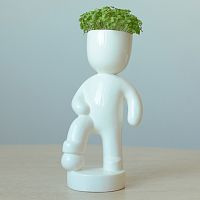 набор для выращивания eco футболист в Комсомольск-на-Амуре