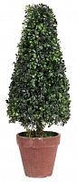 искусственное дерево в горшке topiary в Комсомольск-на-Амуре