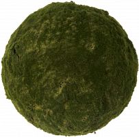 декор moss sun в Комсомольск-на-Амуре