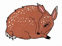 ковер шерстяной олененок the deer в Комсомольск-на-Амуре