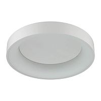 потолочный светодиодный светильник odeon light sole 4062/50cl в Комсомольск-на-Амуре