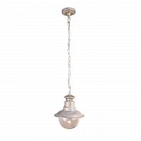 уличный подвесной светильник arte lamp amsterdam a1523so-1wg в Комсомольск-на-Амуре